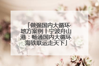 做强国内大循环·地方案例丨宁波舟山港：畅通国内大循环海铁联运走天下