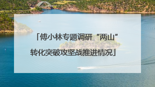 傅小林专题调研“两山”转化突破攻坚战推进情况
