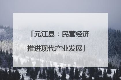 元江县：民营经济推进现代产业发展