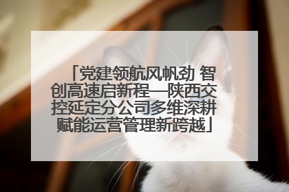 党建领航风帆劲 智创高速启新程—陕西交控延定分公司多维深耕赋能运营管理新跨越
