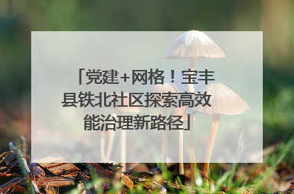 党建+网格！宝丰县铁北社区探索高效能治理新路径