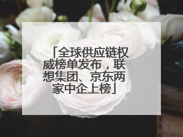全球供应链权威榜单发布，联想集团、京东两家中企上榜