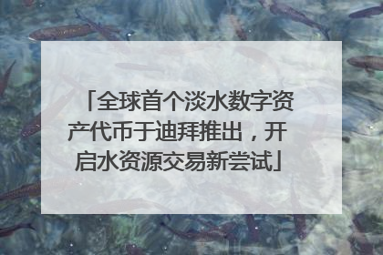 全球首个淡水数字资产代币于迪拜推出，开启水资源交易新尝试