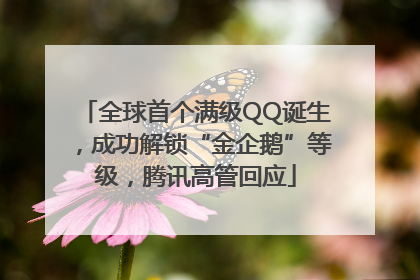 全球首个满级QQ诞生，成功解锁“金企鹅”等级，腾讯高管回应