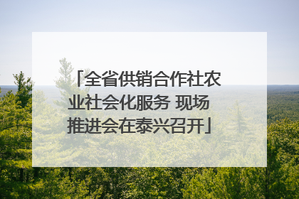 全省供销合作社农业社会化服务 现场推进会在泰兴召开