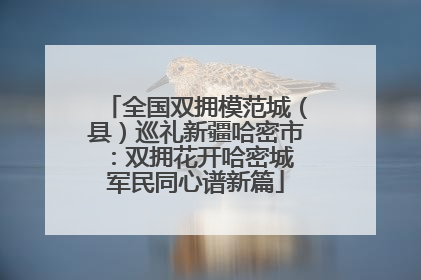全国双拥模范城（县）巡礼新疆哈密市：双拥花开哈密城 军民同心谱新篇