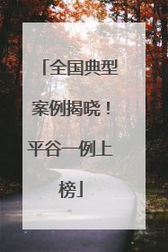 全国典型案例揭晓！平谷一例上榜
