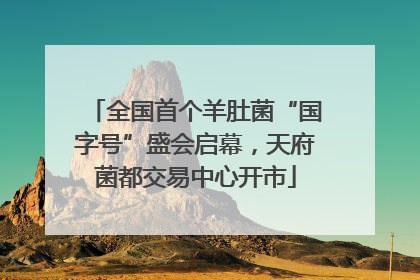 全国首个羊肚菌“国字号”盛会启幕，天府菌都交易中心开市