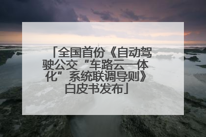 全国首份《自动驾驶公交“车路云一体化”系统联调导则》白皮书发布