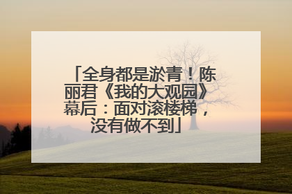 全身都是淤青！陈丽君《我的大观园》幕后：面对滚楼梯，没有做不到
