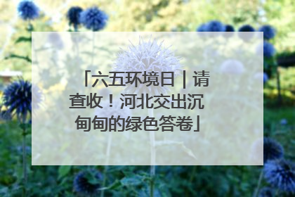 六五环境日｜请查收！河北交出沉甸甸的绿色答卷
