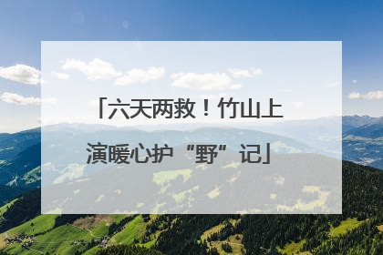 六天两救！竹山上演暖心护“野”记