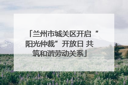 兰州市城关区开启“阳光仲裁”开放日 共筑和谐劳动关系