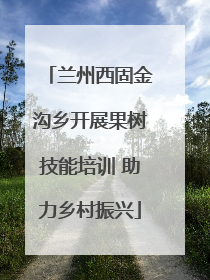 兰州西固金沟乡开展果树技能培训 助力乡村振兴
