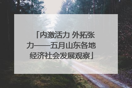 内激活力 外拓张力——五月山东各地经济社会发展观察