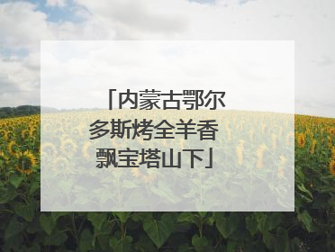 内蒙古鄂尔多斯烤全羊香飘宝塔山下