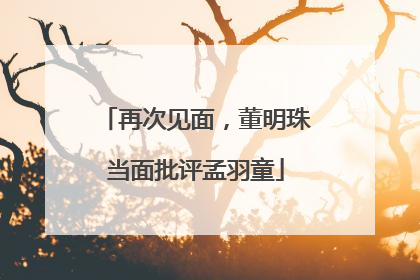 再次见面，董明珠当面批评孟羽童