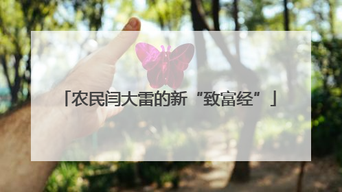 农民闫大雷的新“致富经”