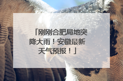 刚刚合肥局地突降大雨！安徽最新天气预报！