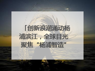创新浪潮涌动杨浦滨江，全球目光聚焦“杨浦智造”｜相约复兴岛