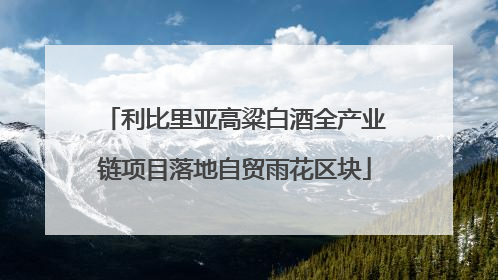 利比里亚高粱白酒全产业链项目落地自贸雨花区块