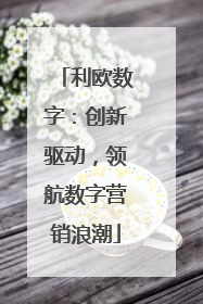 利欧数字：创新驱动，领航数字营销浪潮