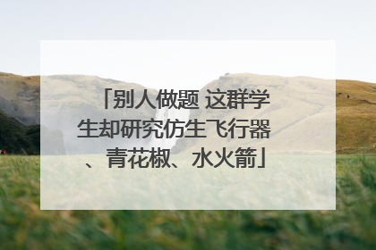 别人做题 这群学生却研究仿生飞行器、青花椒、水火箭
