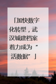 加快数字化转型，武汉城建档案着力成为“活数据”