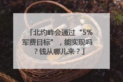 北约峰会通过“5%军费目标”，能实现吗？钱从哪儿来？