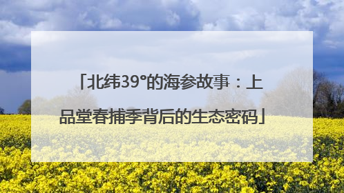 北纬39°的海参故事：上品堂春捕季背后的生态密码