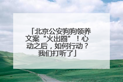 北京公安狗狗领养文案“火出圈”！心动之后，如何行动？我们打听了