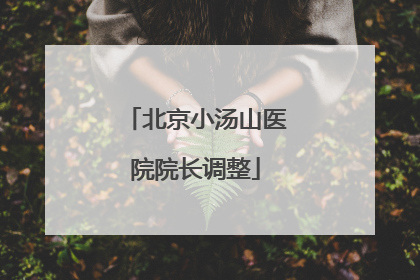 北京小汤山医院院长调整