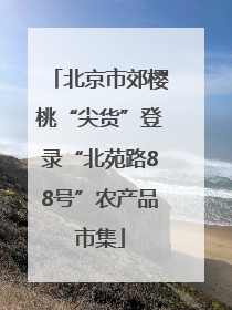 北京市郊樱桃“尖货”登录“北苑路88号”农产品市集