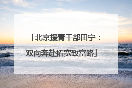 北京援青干部田宁：双向奔赴拓宽致富路