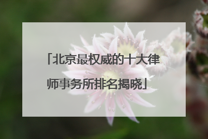 北京最权威的十大律师事务所排名揭晓