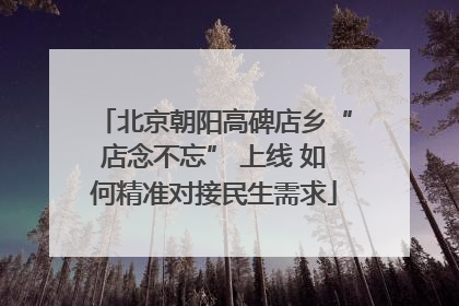 北京朝阳高碑店乡“店念不忘” 上线 如何精准对接民生需求