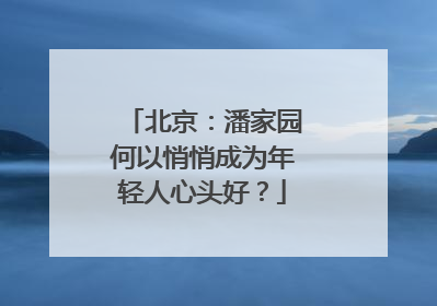 北京：潘家园何以悄悄成为年轻人心头好？
