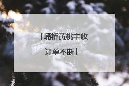 埇桥黄桃丰收 订单不断