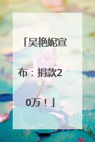 吴艳妮宣布：捐款20万！