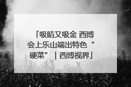 吸睛又吸金 西博会上乐山端出特色“硬菜”｜西博视界