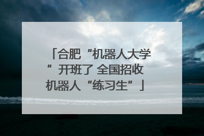 合肥“机器人大学”开班了 全国招收机器人“练习生”
