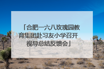 合肥一六八玫瑰园教育集团赴习友小学召开视导总结反馈会
