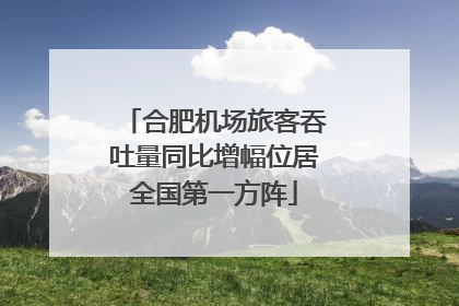 合肥机场旅客吞吐量同比增幅位居全国第一方阵