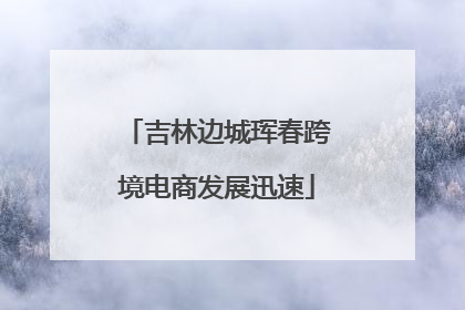 吉林边城珲春跨境电商发展迅速