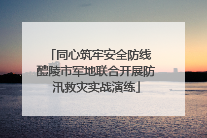 同心筑牢安全防线 醴陵市军地联合开展防汛救灾实战演练
