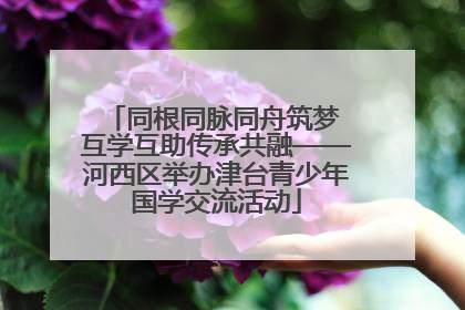同根同脉同舟筑梦 互学互助传承共融——河西区举办津台青少年国学交流活动