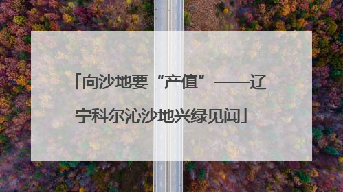 向沙地要“产值”——辽宁科尔沁沙地兴绿见闻