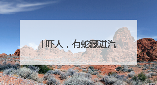 吓人，有蛇藏进汽车引擎盖！北京9天接9起“蛇警”