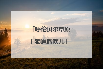 呼伦贝尔草原上狼崽撒欢儿