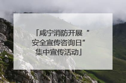 咸宁消防开展“安全宣传咨询日”集中宣传活动